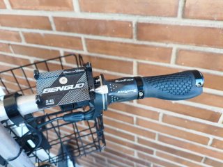 Bicicleta plegable Vitesse