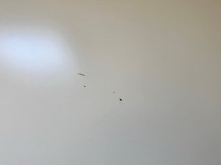Escritorio Ikea Blanco Madera con Caballetes