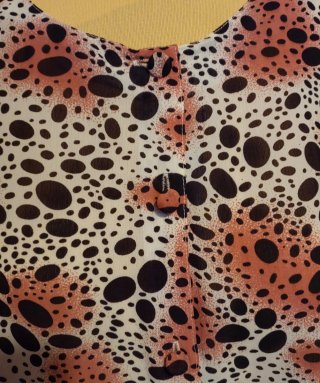 Blusa