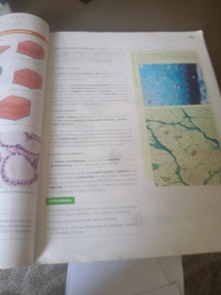 Biología, Geología y Ciencias Ambientales 1 Bac...