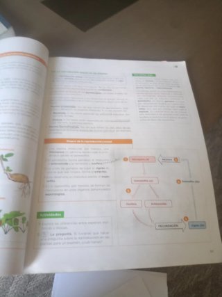 Biología, Geología y Ciencias Ambientales 1 Bac...