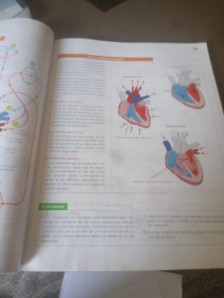 Biología, Geología y Ciencias Ambientales 1 Bac...