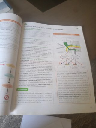 Biología, Geología y Ciencias Ambientales 1 Bac...