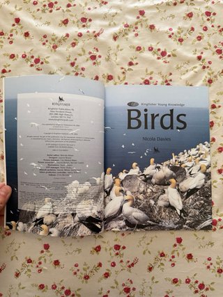 2 libros de aves, uno de ellos sin desprecintar