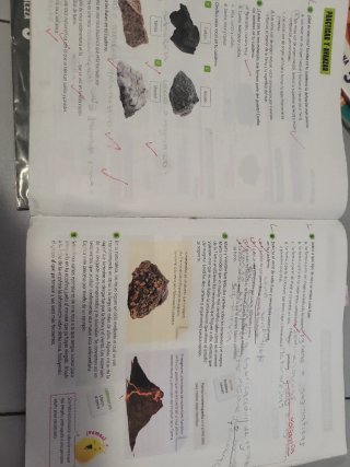 Proyecto: FanFest. Ciencias de la Naturaleza 5