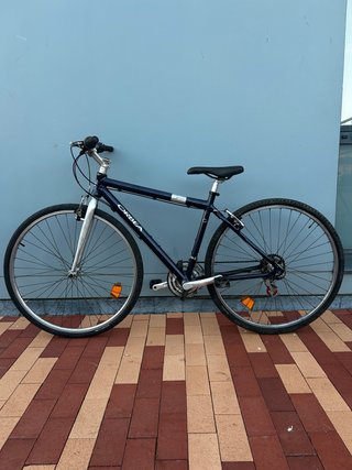 Orbea Street Azul Talla L Ruedas Grandes lista