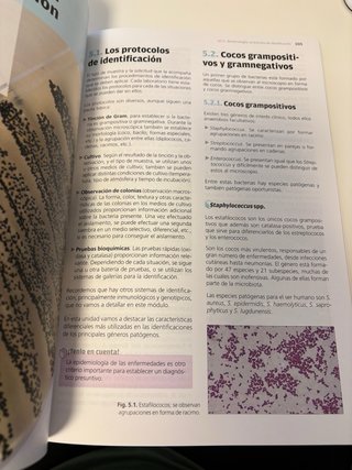 Microbiología clínica CFGS Laboratorio Clinico