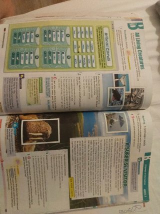 ADVANCED OPTIONS A2 STS 2023