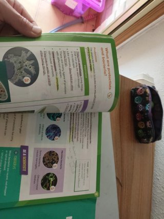 Natural and Social Science, 4 Primary, World Ma...