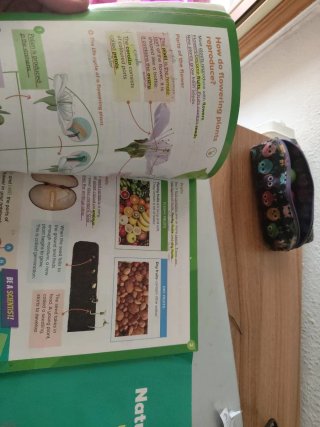 Natural and Social Science, 4 Primary, World Ma...
