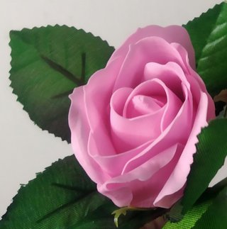 1 ROSA de jabón ,para decoración