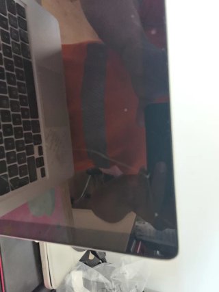 MacBook Pro 13 2010 (piezas/reparación)