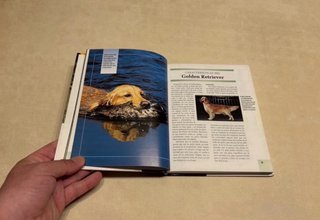 Libro Golden Retriever. Razas de hoy.