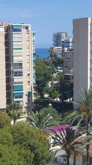 Alquiler apartamento playa San Juan Alicant jul-ag