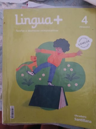 Lote libros 4 primaria, se ve de lote completo.