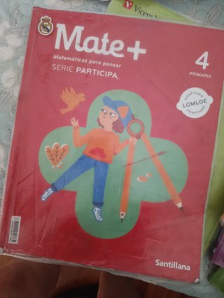 Lote libros 4 primaria, se ve de lote completo.