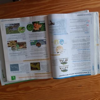 Libros 1° ESO. Historia, biología y tecnologia