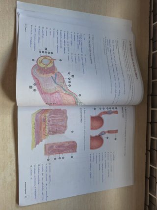 Anatomía aplicada Cuaderno de actividades