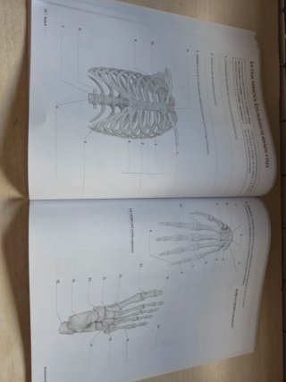 Anatomía aplicada Cuaderno de actividades