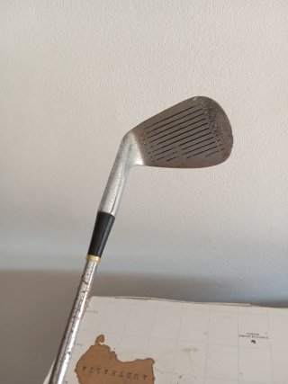 Palo de golf junior