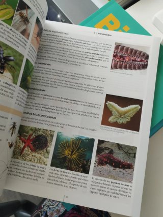 Biología y Geología 1 ESO RADIX