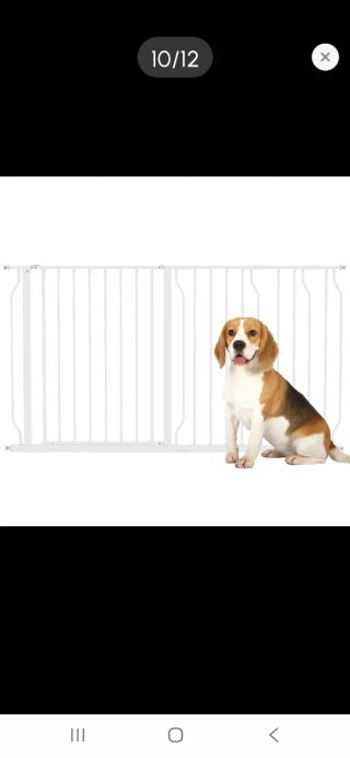 Barrera de seguridad para perros metálica blanca