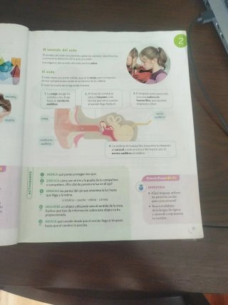 Ciencias de la Naturaleza 5 Primaria : Comunida...