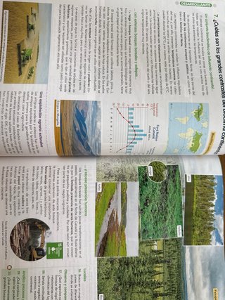 Geografía e historia, 1 ESO, Comunidad en red