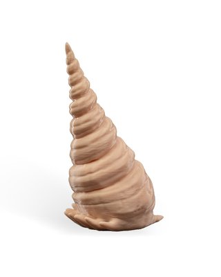 Caracola con Calamar Articulado -Juguete sensorial