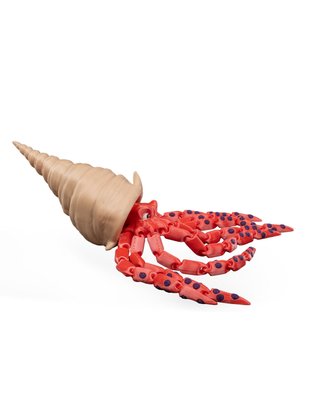 Caracola con Calamar Articulado -Juguete sensorial