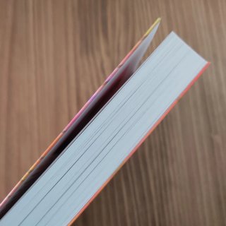 Casi 30: La guía definitiva para construir una ...