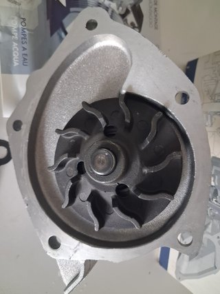 Bomba de agua DOLZ Renault Laguna