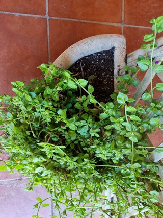 Jardinera Media Luna, piedra lavada.