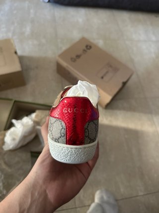 GUCCI WEB MONOGRAM  ACE PIEL DE TERNERO