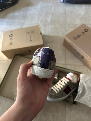 GUCCI WEB MONOGRAM  ACE PIEL DE TERNERO