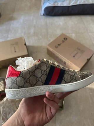 GUCCI WEB MONOGRAM  ACE PIEL DE TERNERO
