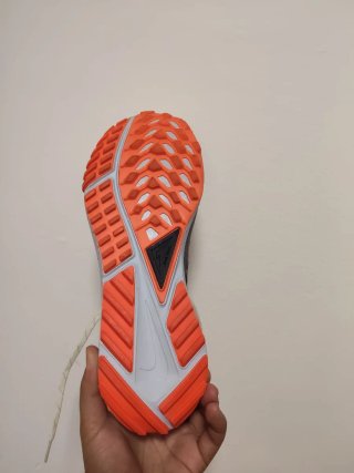 T40,5 Nike Pegasus Trail 4 GTX V2 Beige/Naranja