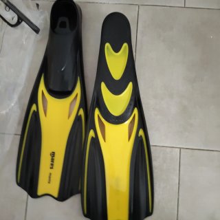Aletas Mares Manta