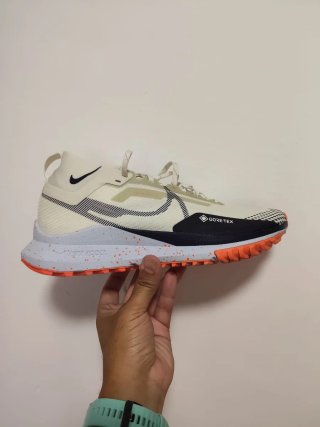T41 Nike Pegasus Trail 4 GTX v2