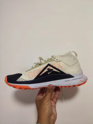 T41 Nike Pegasus Trail 4 GTX v2