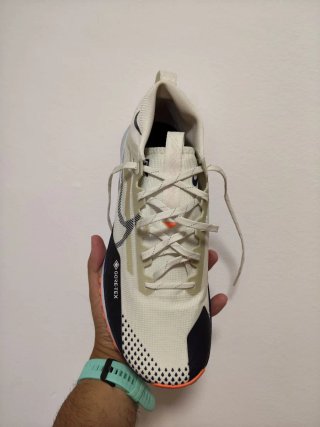 T41 Nike Pegasus Trail 4 GTX v2