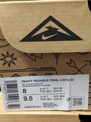 T41 Nike Pegasus Trail 4 GTX v2