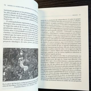 Matar a la madre patria historia de una pasión ...