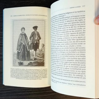 Matar a la madre patria historia de una pasión ...