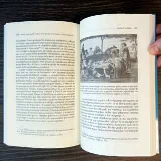 Matar a la madre patria historia de una pasión ...