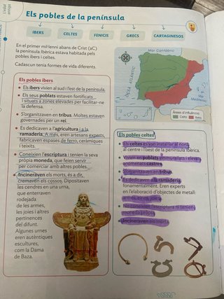 Coneixement del medi, 4 Primària, Projecte Cons...