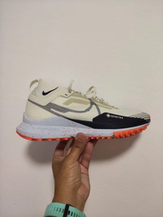 T43 Nike Pegasus Trail 4 GTX v2