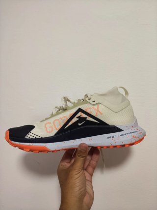 T43 Nike Pegasus Trail 4 GTX v2