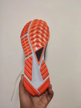 T43 Nike Pegasus Trail 4 GTX v2