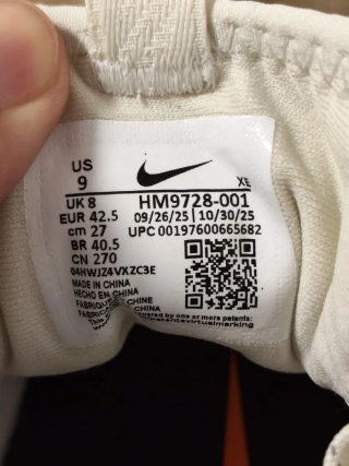 T43 Nike Pegasus Trail 4 GTX v2